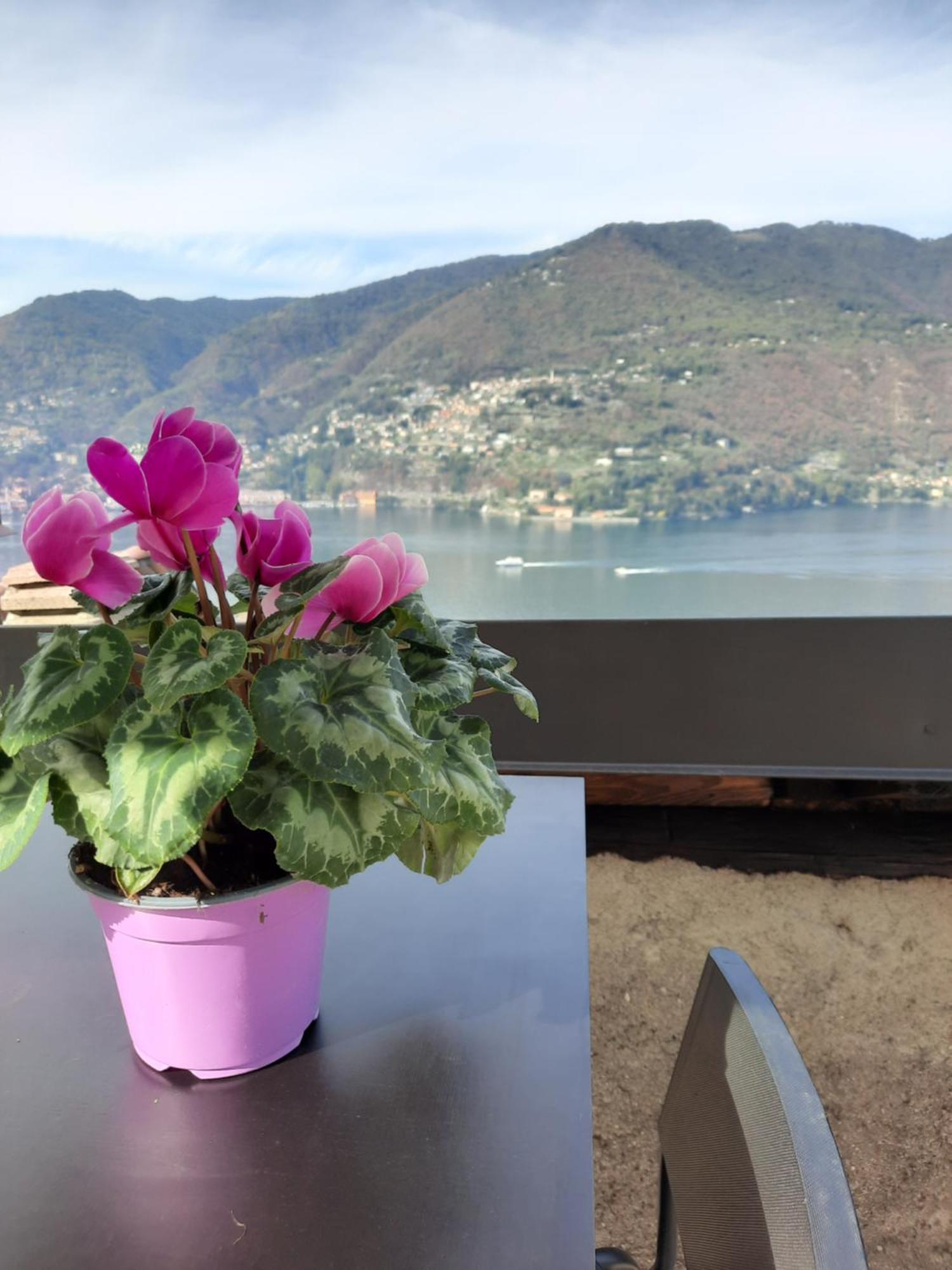 Luxury Room La Terrazza Sul Lago Di Como بْليفيو المظهر الخارجي الصورة
